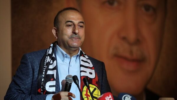 Dışişleri Bakanı Mevlüt Çavuşoğlu - Sputnik Türkiye