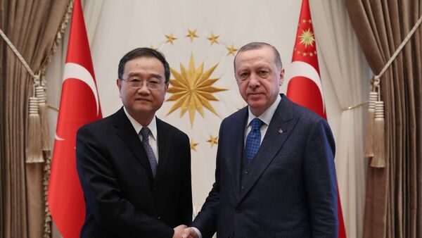 Deng Li - Recep Tayyip Erdoğan - Sputnik Türkiye