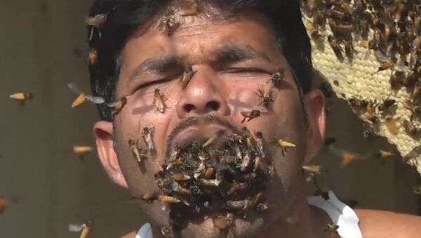 Hindistan’ın Batı Bengal eyaletinde yaşayan bal toplayıcısı Suk Mahammad Dalal’in ağzını canlı arılarla doldurduğu belirtildi. - Sputnik Türkiye