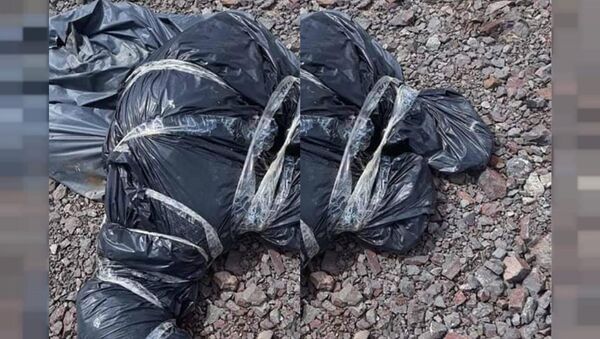 Ankara Çubuk'ta çöp torbalarına konulmuş onlarca sokak köpeği ölüsü bulundu - Sputnik Türkiye
