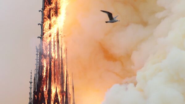 Paris Notre Dame Katedrali'nde yangın çıktı - Sputnik Türkiye