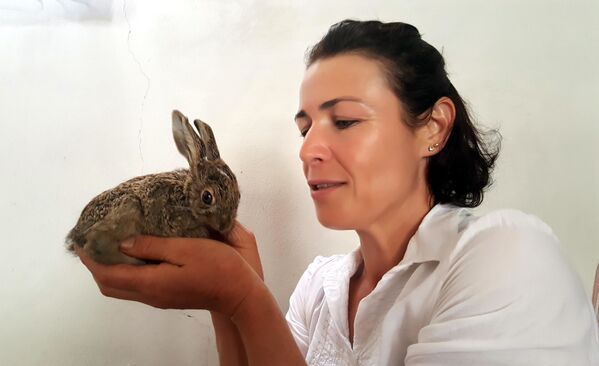 Yılandan kurtardığı tavşana bebeği gibi bakıyor - Sputnik Türkiye