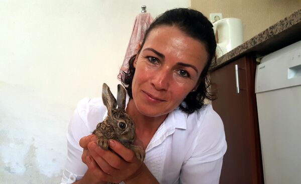 Yılandan kurtardığı tavşana bebeği gibi bakıyor - Sputnik Türkiye
