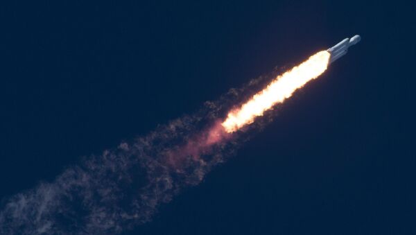 Space X Falcon Heavy - Sputnik Türkiye