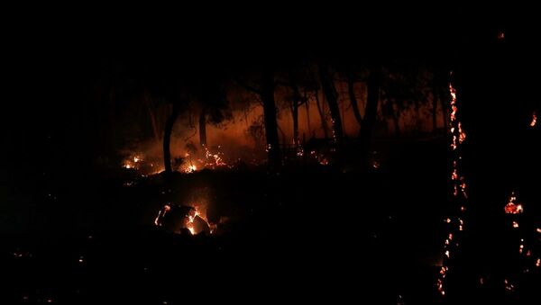 Muğla'daki orman yangınında 34 ev tahliye edildi - Sputnik Türkiye