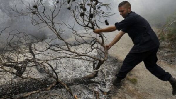 İsrail ordusu tarafından, sınırın Lübnan tarafındaki meşe ormanlarına yangın bombası atıldığı belirtildi. - Sputnik Türkiye