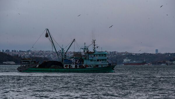 Trol ile avlanan balıkçılar - Sputnik Türkiye