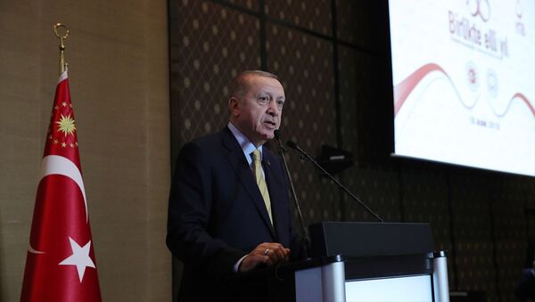 Türkiye Cumhurbaşkanı Recep Tayyip Erdoğan, İsviçre'ye göçün 50. yılı vesilesiyle düzenlenen etkinliğe katılarak konuşma yaptı. - Sputnik Türkiye