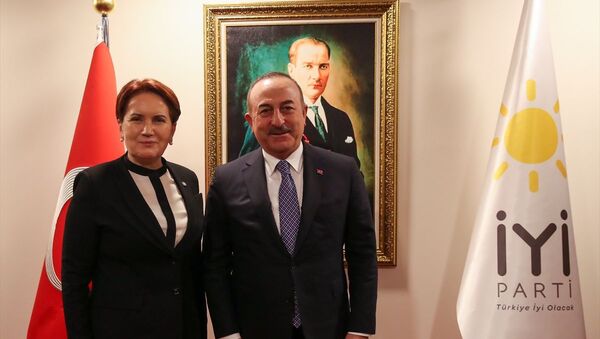 Mevlüt Çavuşoğlu, Meral Akşener - Sputnik Türkiye