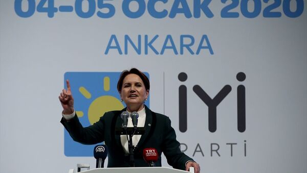 Meral Akşener - Sputnik Türkiye
