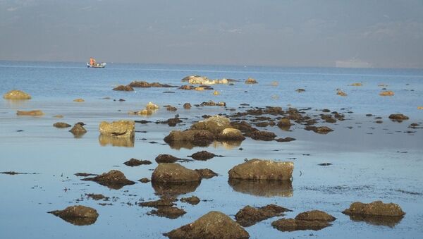 Balıkesir'de deniz çekilince antik limanın kalıntıları su yüzeyine çıktı   - Sputnik Türkiye