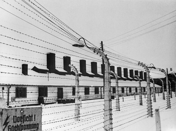 Auschwitz Toplama kampının Sovyet Kızıl Ordusu tarafından kurtarılışının 75. yıldönümü - Sputnik Türkiye