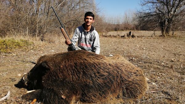 1 ay takip etti, 300 kiloluk yaban domuzunu vurdu - Sputnik Türkiye