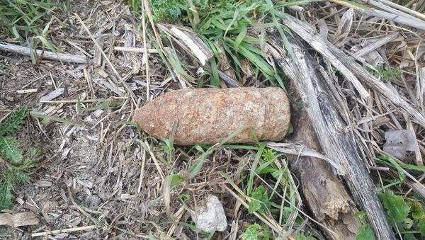 Tekirdağ’da bir çiftçi tarla sürdüğü esnada patlamamış top mermisi buldu - Sputnik Türkiye