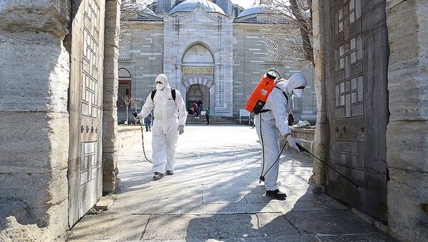 Selimiye Camisi koronavirüs tehlikesine karşı dezenfekte edildi - Sputnik Türkiye