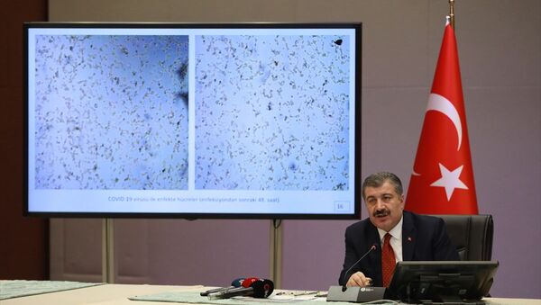 Sağlık Bakanı Fahrettin Koca, video konferans ile katıldığı Koronavirüs Bilim Kurulu toplantısı sonrası düzenlenen basın toplantısında açıklamalarda bulundu. - Sputnik Türkiye