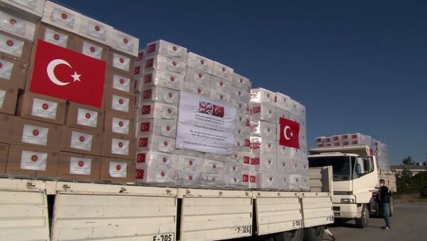 Türkiye, İngiltere'ye tıbbi yardım malzemeleri gönderdi - Sputnik Türkiye