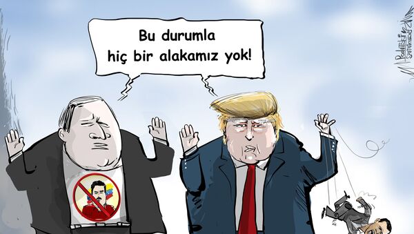 Karikatür - Sputnik Türkiye