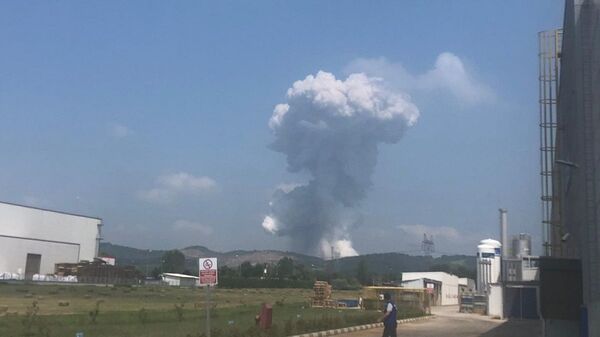Sakarya'da havai fişek fabrikasında patlama - Sputnik Türkiye